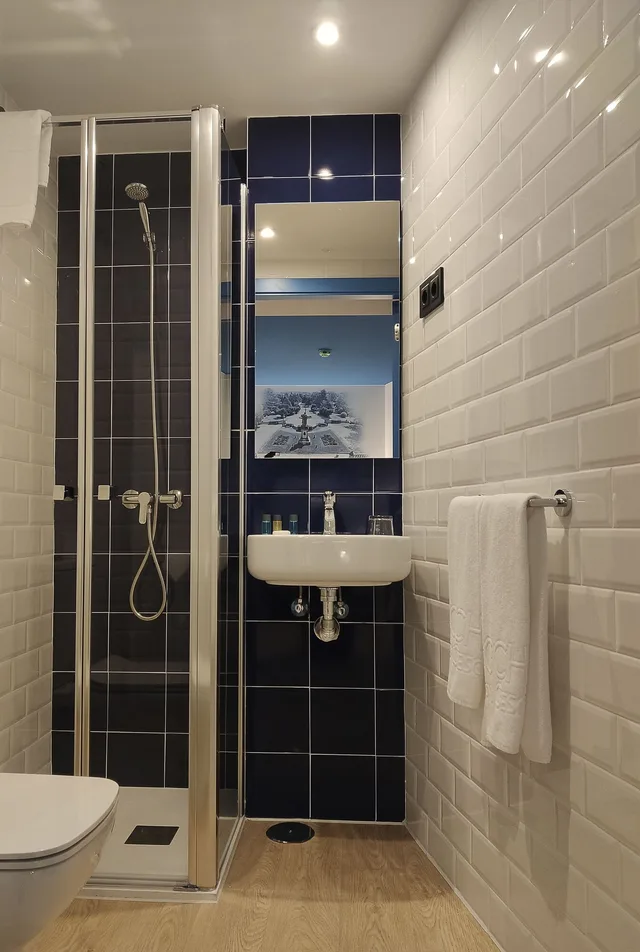 غرفة قياسية بسريرين منفصلين، Alameda Rooms Santiago 3/3