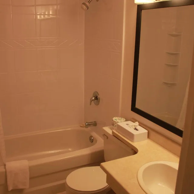جناح سوبيريور بسرير مزدوج، Coronet Hotel Prince Albert 1/2