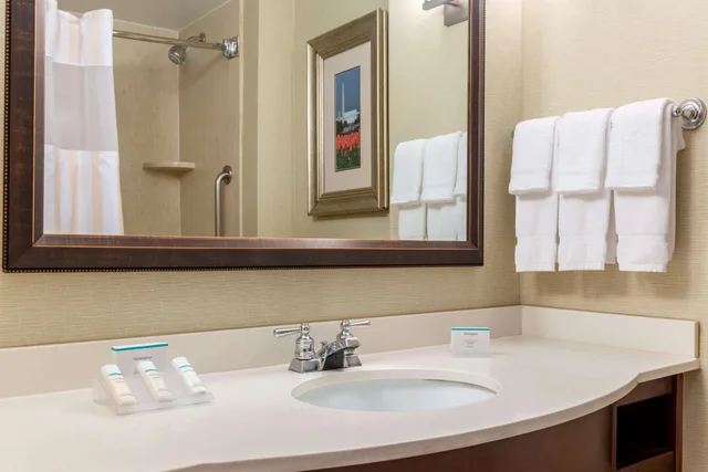 جناح جونيور بسرير كينج مع أريكة، Hilton Garden Inn Arlington Courthouse Plaza 3/4